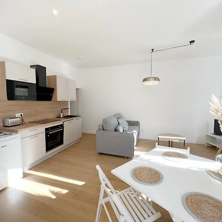 Apartment Le Trefle De Falguiere - Hypercentre- Gare Toulouse