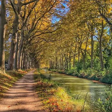 דירה Le Trefle De Falguiere - Hypercentre- Gare