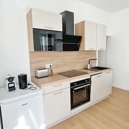 Apartment Le Trefle De Falguiere - Hypercentre- Gare Toulouse