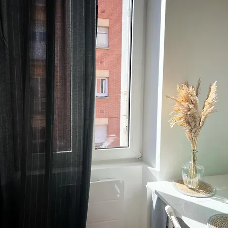 Le Trefle De Falguiere - Hypercentre- Gare Toulouse