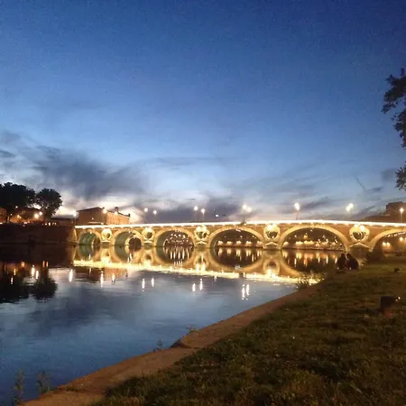 Le Trefle De Falguiere - Hypercentre- Gare Toulouse