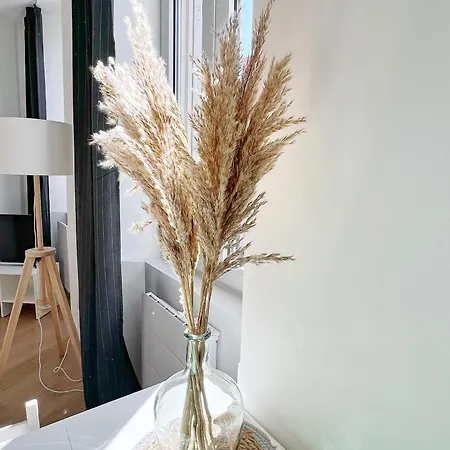 Le Trefle De Falguiere - Hypercentre- Gare Apartment