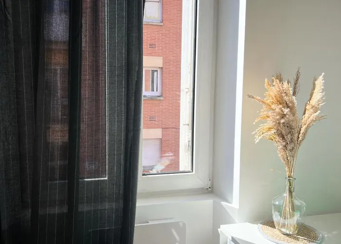 Le Trefle De Falguiere - Hypercentre- Gare Toulouse