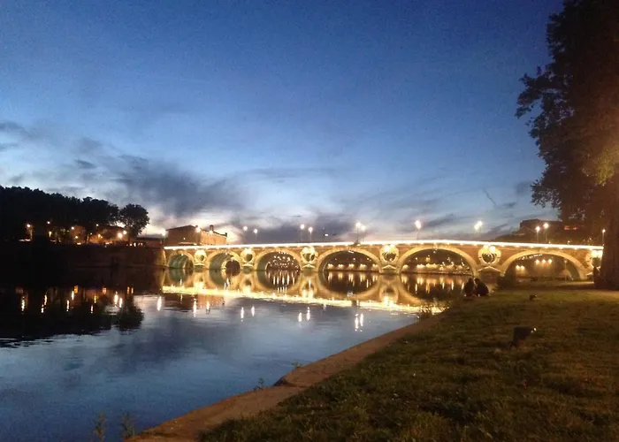 Le Trefle De Falguiere - Hypercentre- Gare Τουλούζη