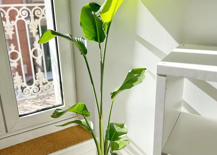 Le Trefle De Falguiere - Hypercentre- Gare Lejlighed *